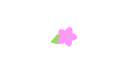 花が咲くモーショングラフィックスの作成